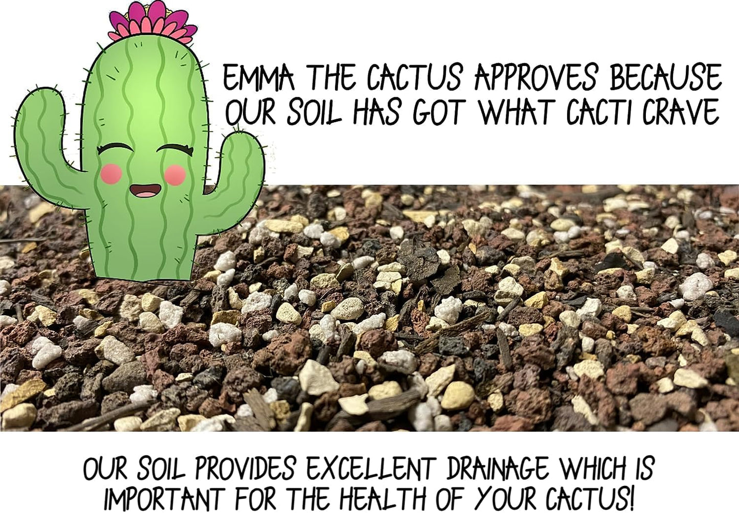 High Drainage Cactus Soil Potting Mix with Mycorrhizal Fungi - 4 Quarts of Soil - Slightly Acidic Blend