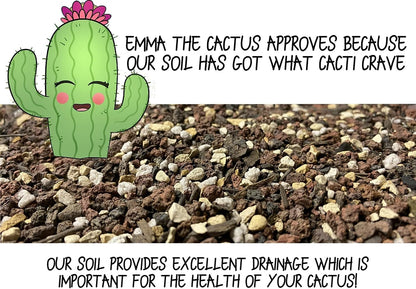 High Drainage Cactus Soil Potting Mix with Mycorrhizal Fungi - 4 Quarts of Soil - Slightly Acidic Blend