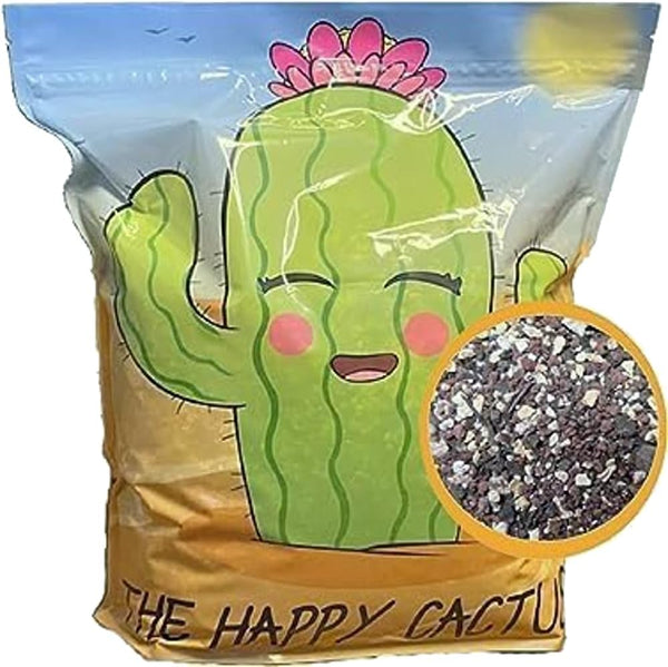 The Happy Cactus